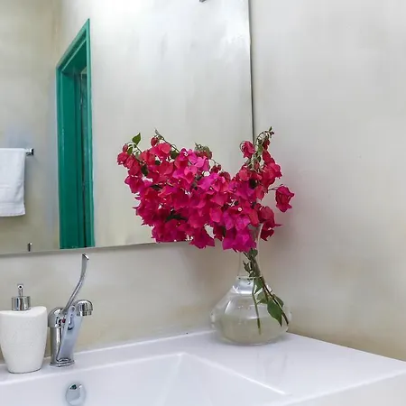 To Konatzi Tis Marikas Tzai Tou Yianni Guest House Kato Drys Exterior photo